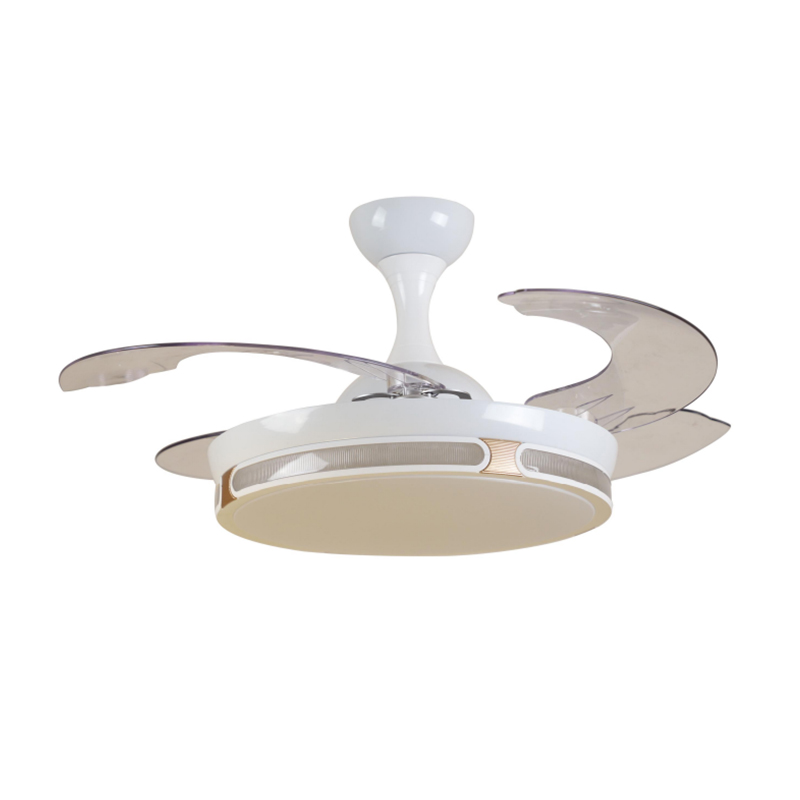 H42-695 Ceiling Fan Light