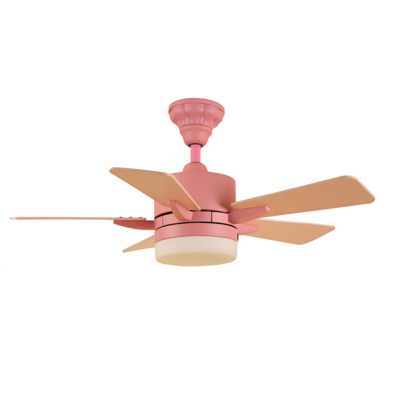 S36-303 Ceiling Fan Light