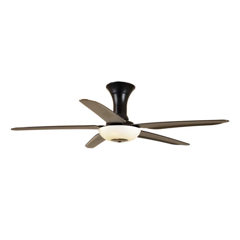 S43-398 Ceiling Fan Light