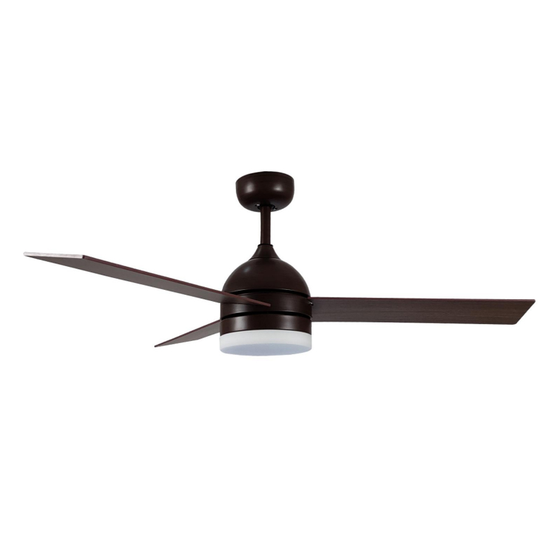 S48-458 Ceiling Fan Light