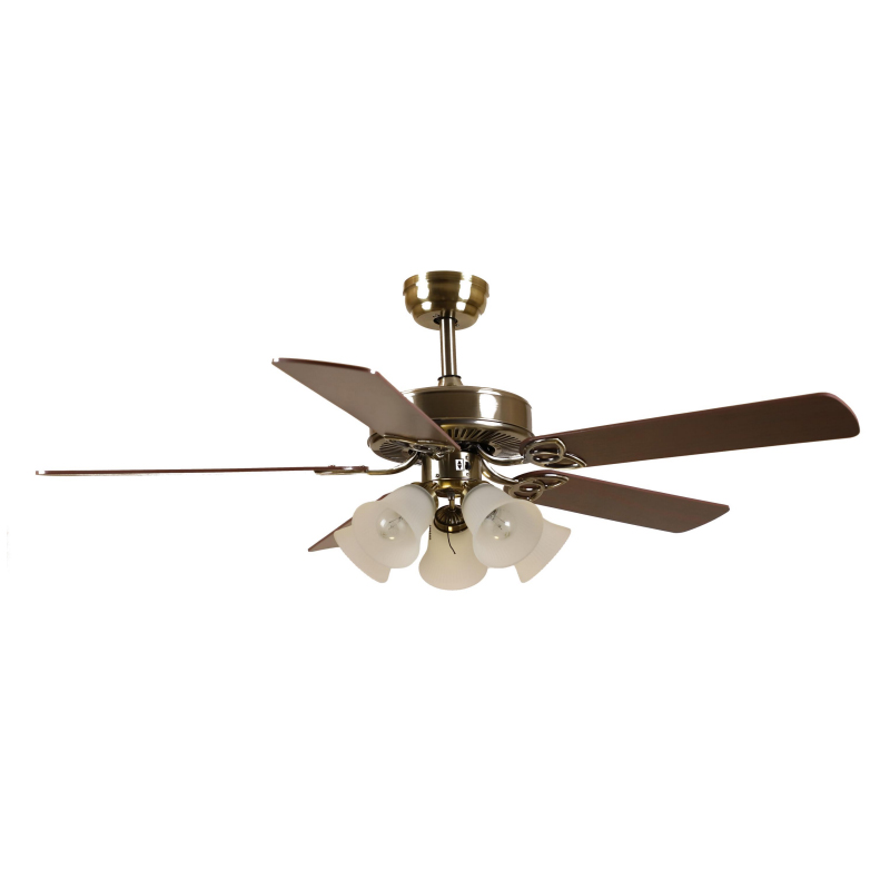 S52-005 Ceiling Fan Light