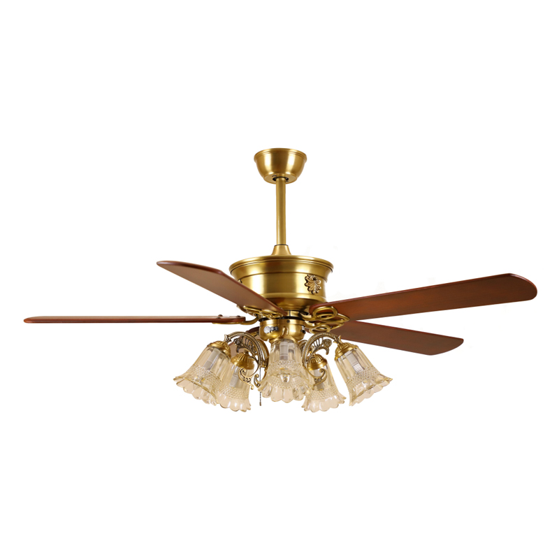 S52-013 Ceiling Fan Light