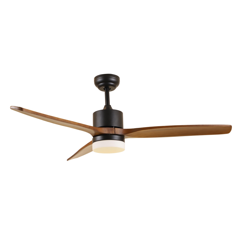 S52-309A Ceiling Fan Light