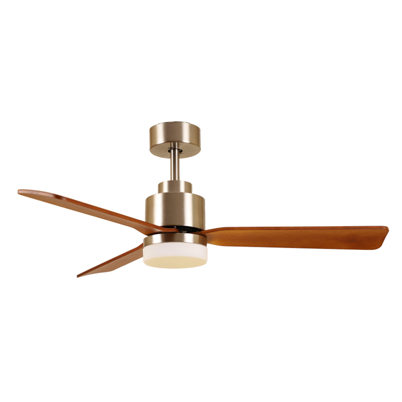 S52-333 Ceiling Fan Light