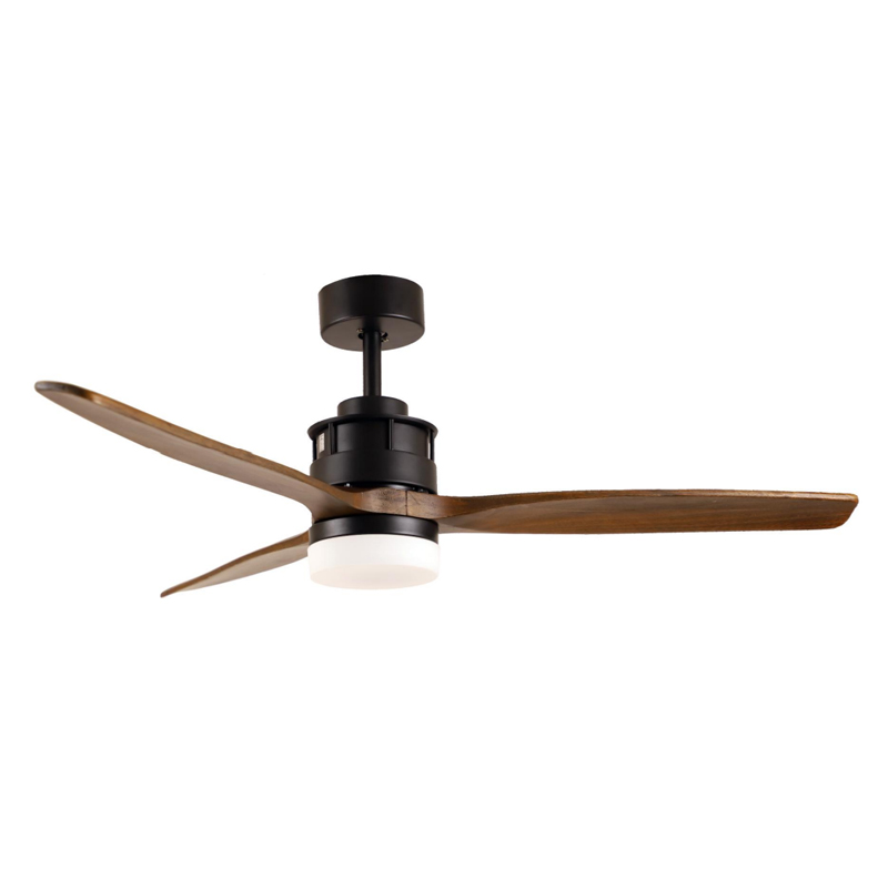 S52-335 Ceiling Fan Light