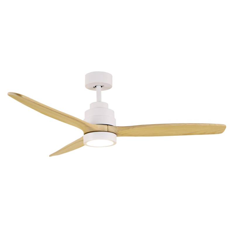 S52-338 Ceiling Fan Light