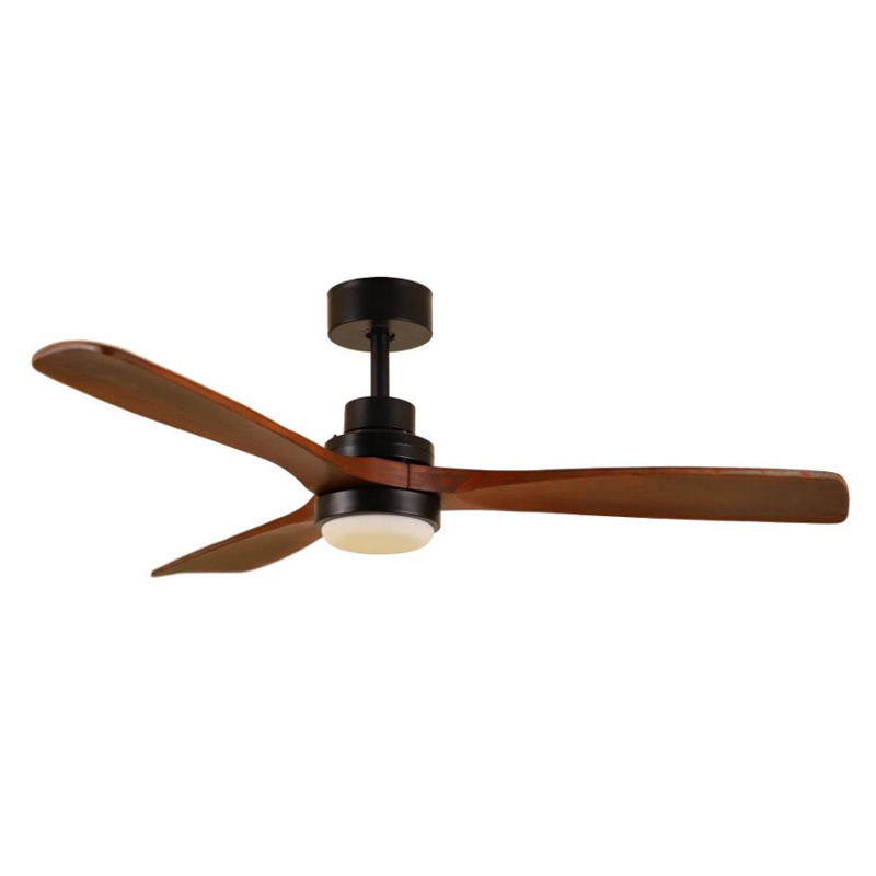 S52-345 Ceiling Fan Light