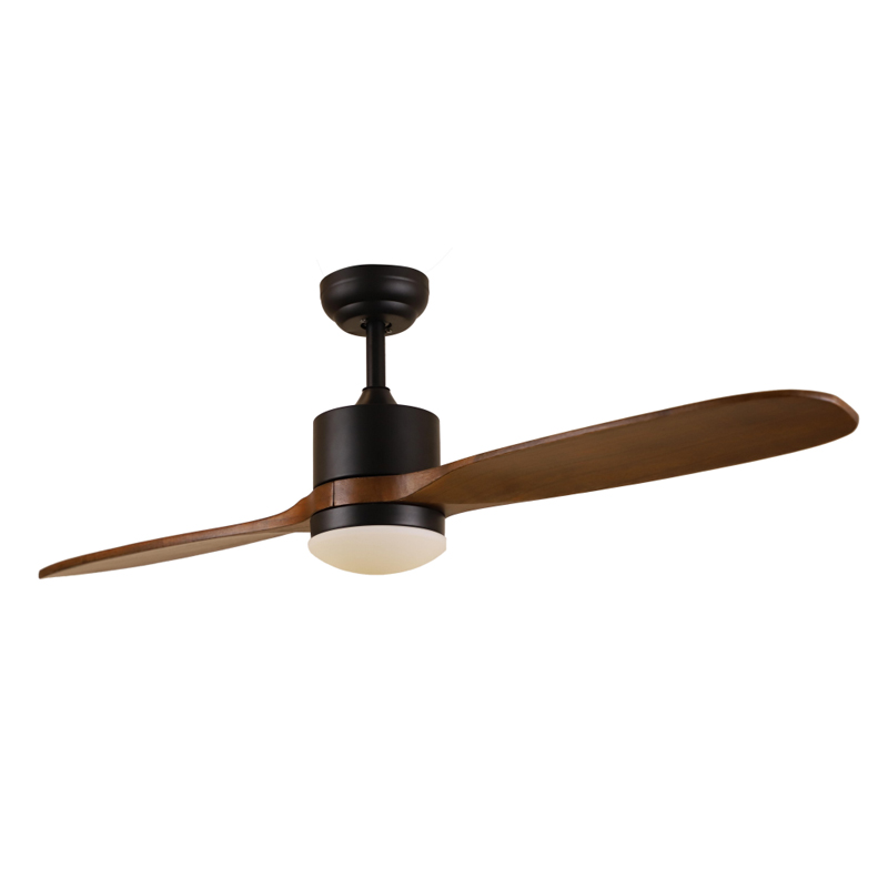 S52-353 Ceiling Fan Light