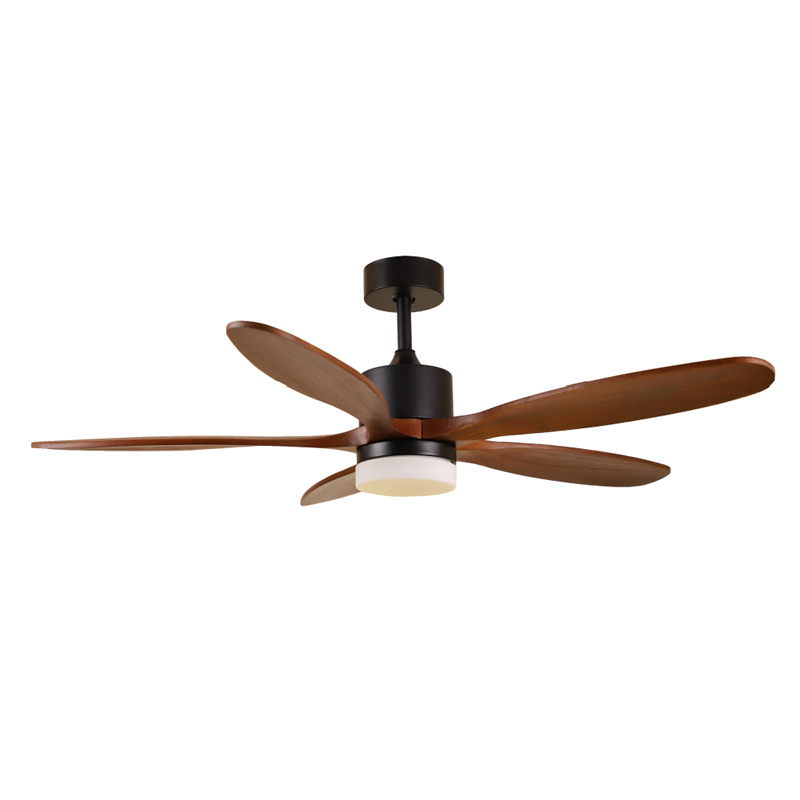 S52-357 Ceiling Fan Light