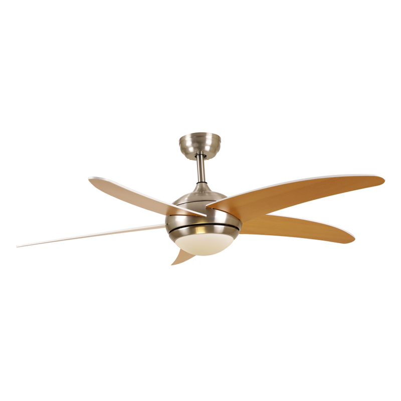 S52-365 Ceiling Fan Light