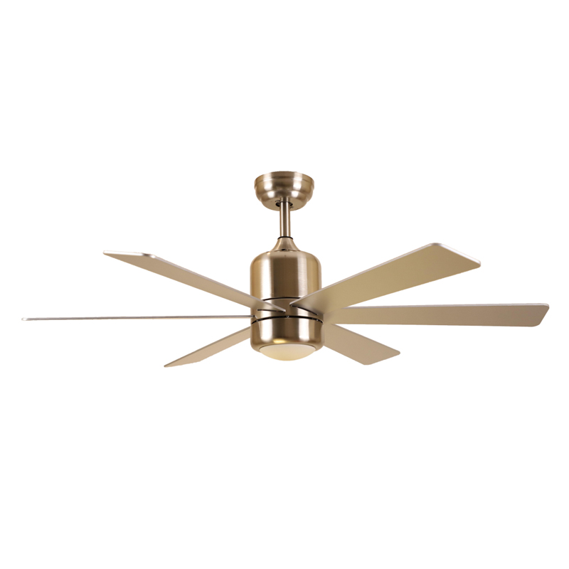 S52-366 Ceiling Fan Light