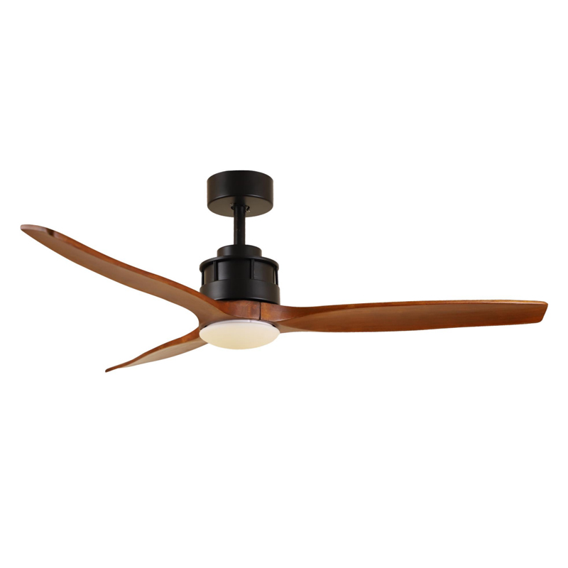 S52-373 Ceiling Fan Light