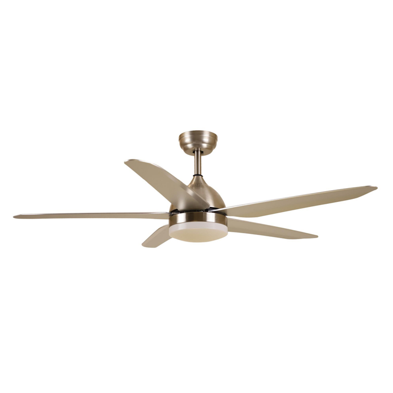 S52-377 Ceiling Fan Light