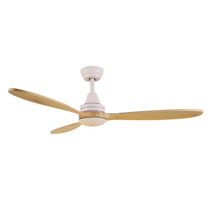 S52-407 Ceiling Fan Light