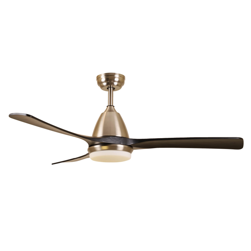 S52-425 Ceiling Fan Light