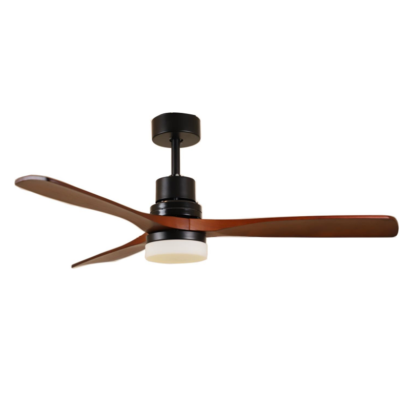 S52-428 Ceiling Fan Light