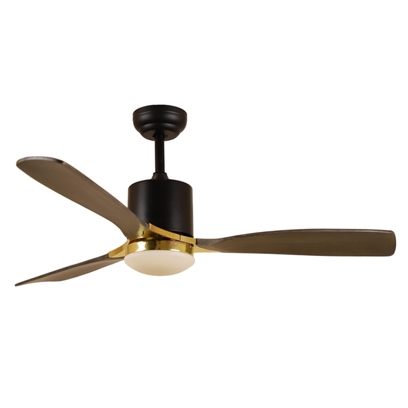 S52-429 Ceiling Fan Light