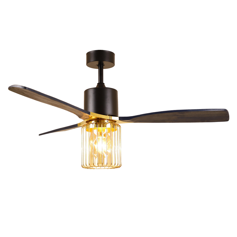 S52-429C Ceiling Fan Light