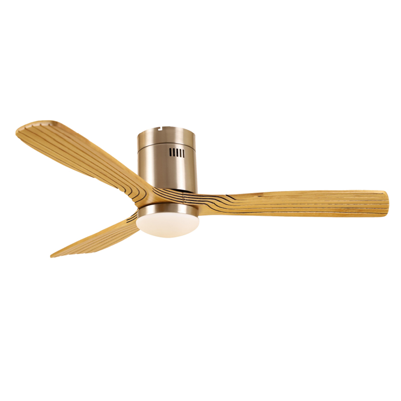 S52-455 Ceiling Fan Light