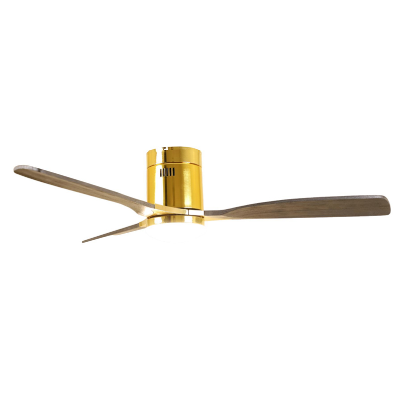 S52-456 Ceiling Fan Light