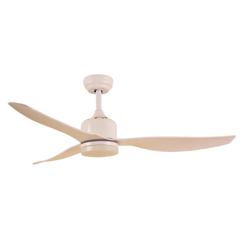 S52-463 Ceiling Fan Light