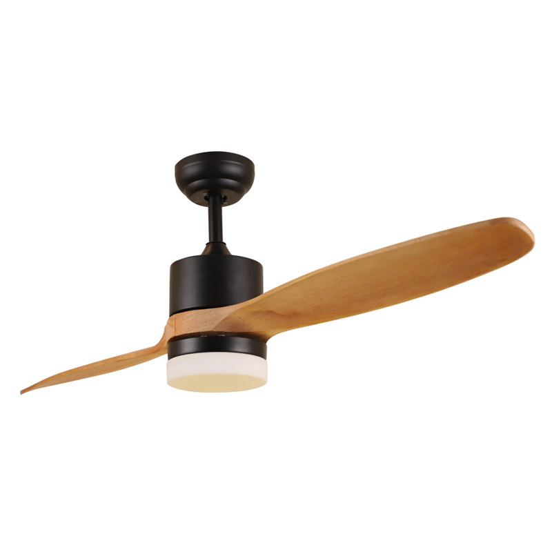 S52-476 Ceiling Fan Light