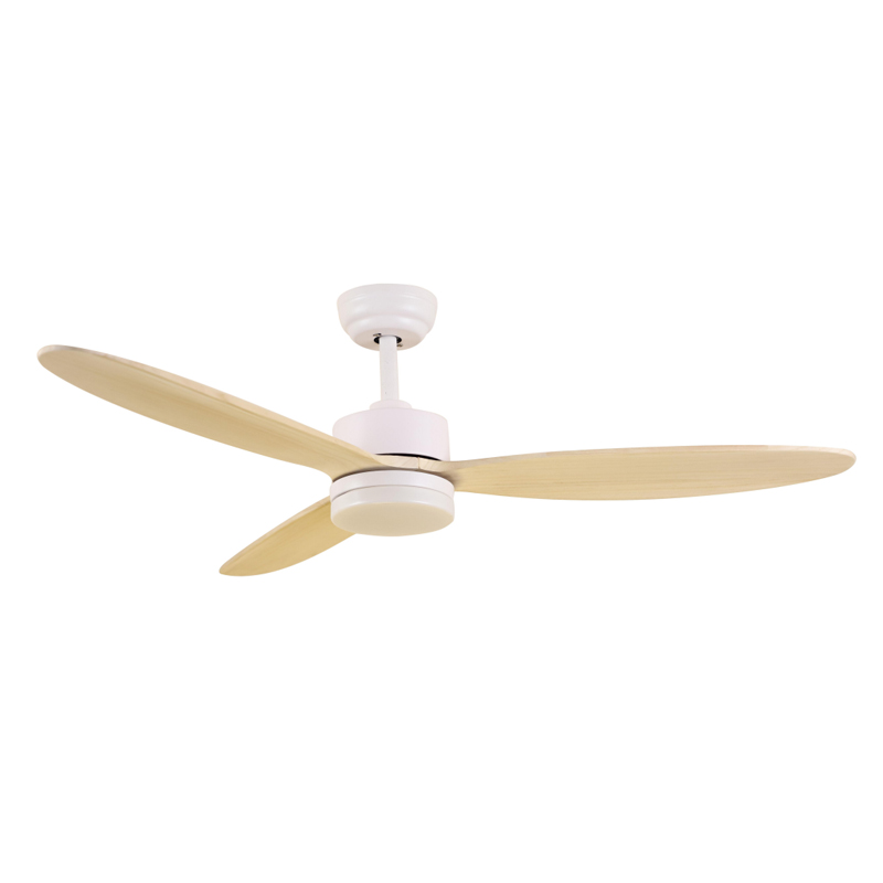 S52-477 Ceiling Fan Light