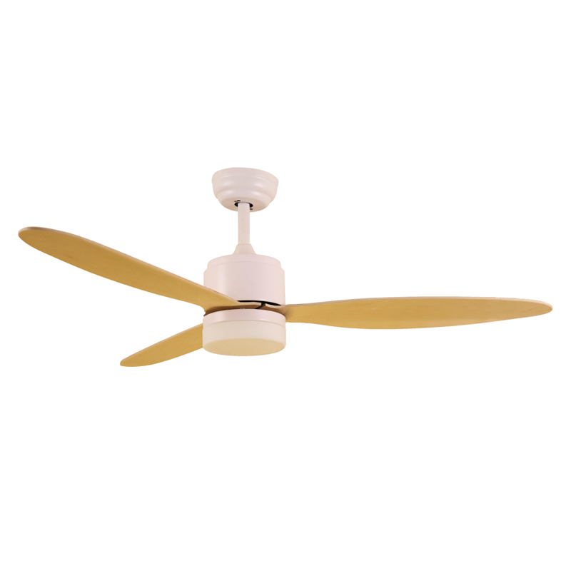 S52-478 Ceiling Fan Light