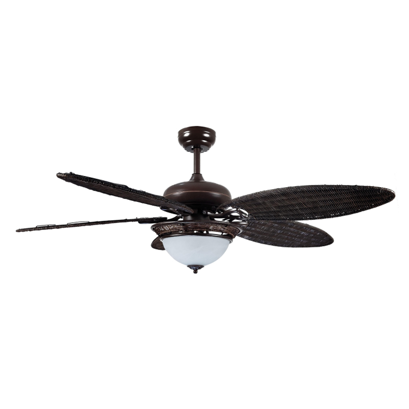 S52-492 Ceiling Fan Light