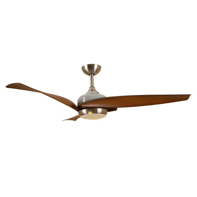 S52-493 Ceiling Fan Light