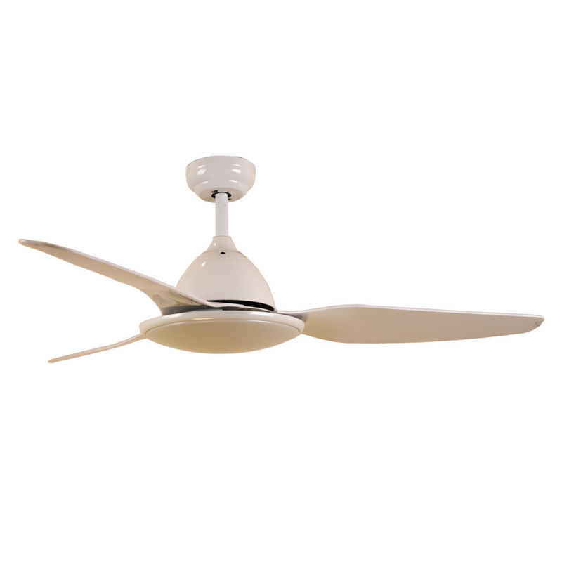 S54-361 Ceiling Fan Light