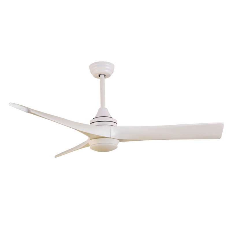 S60-474 Ceiling Fan Light