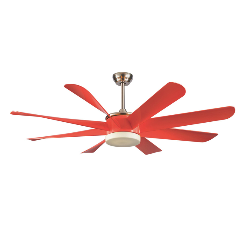 S60-D325 Ceiling Fan Light