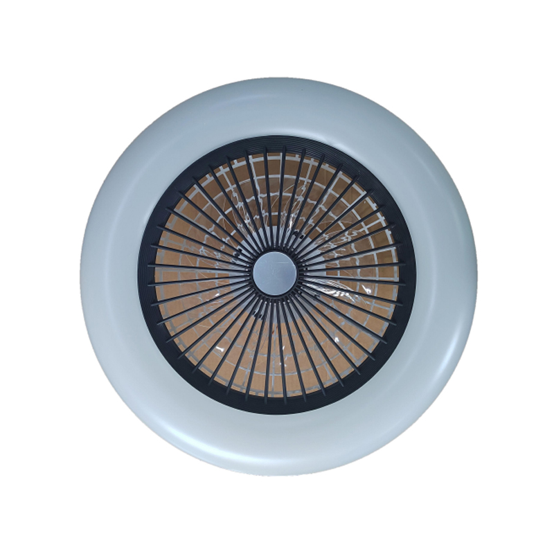 W20-003 Ceiling Fan Light