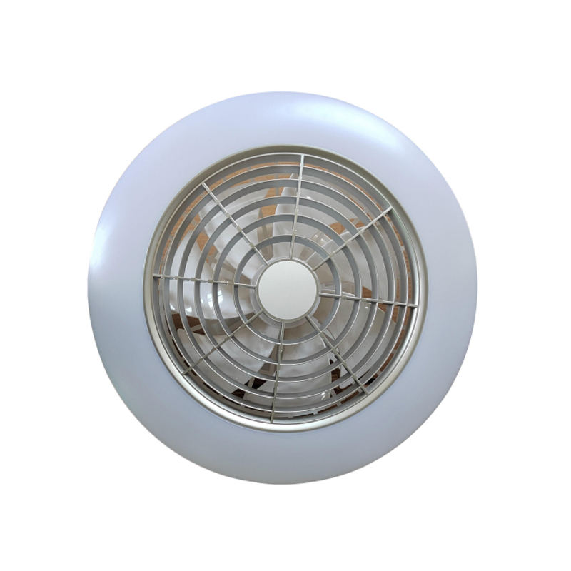 W20-005 Ceiling Fan Light